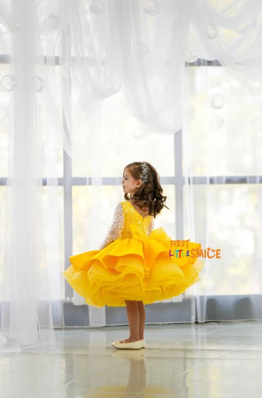 Fluffy Birthday Party Dress